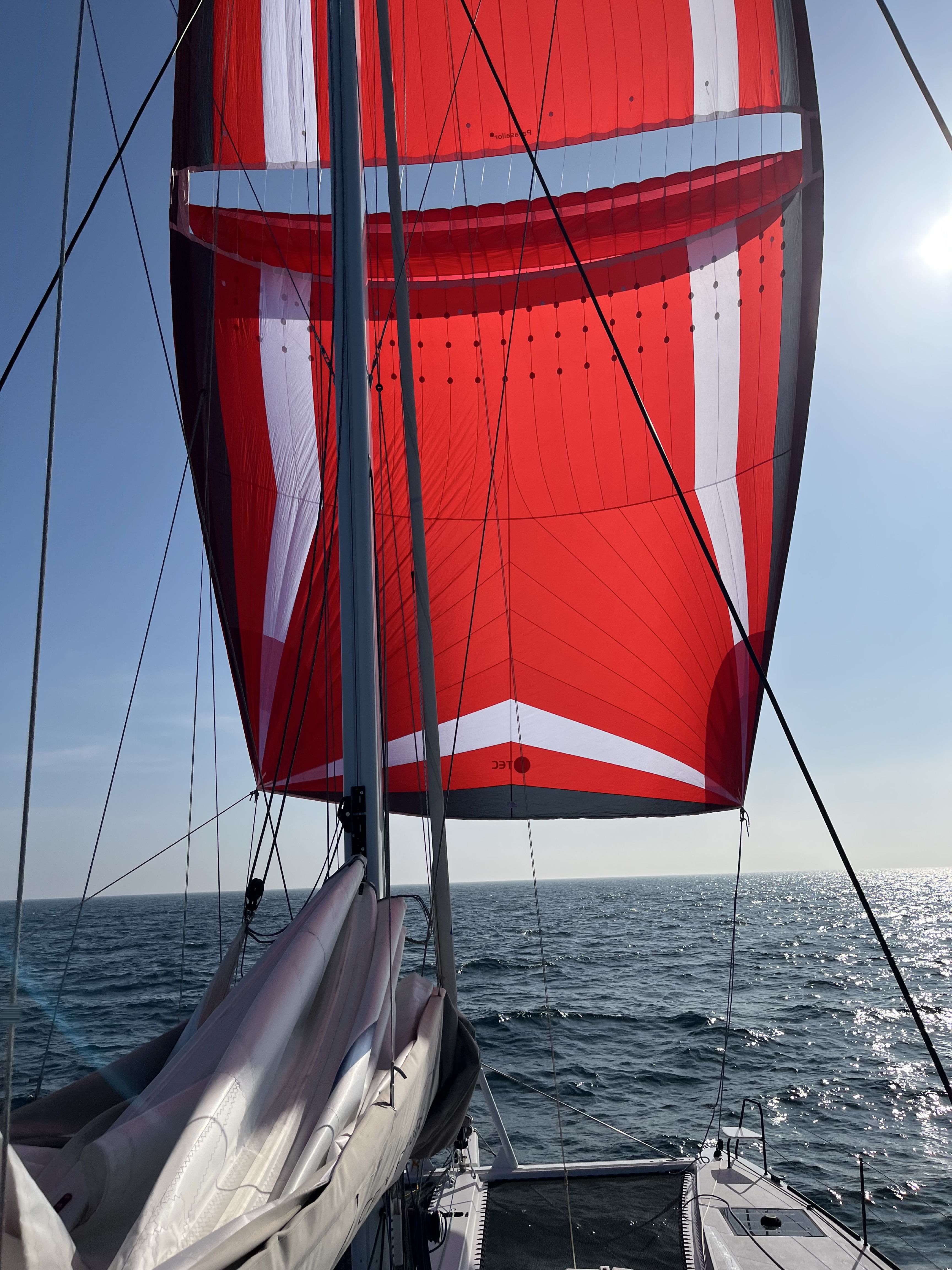 Voilier sous spi lors d’une navigation de convoyage